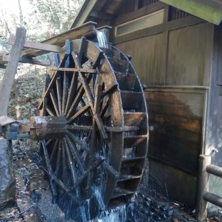 ＤＪゴン太さんが投稿した北山公園に関する口コミの画像
