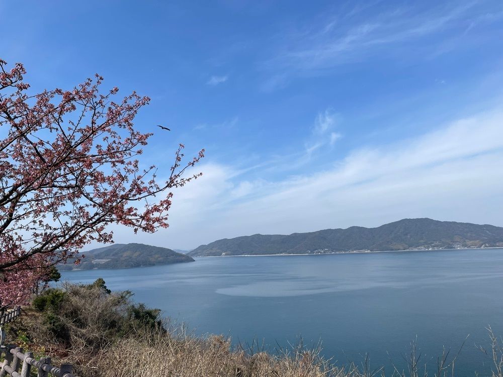 みーなさんが投稿した笠戸島家族旅行村に関する口コミの画像