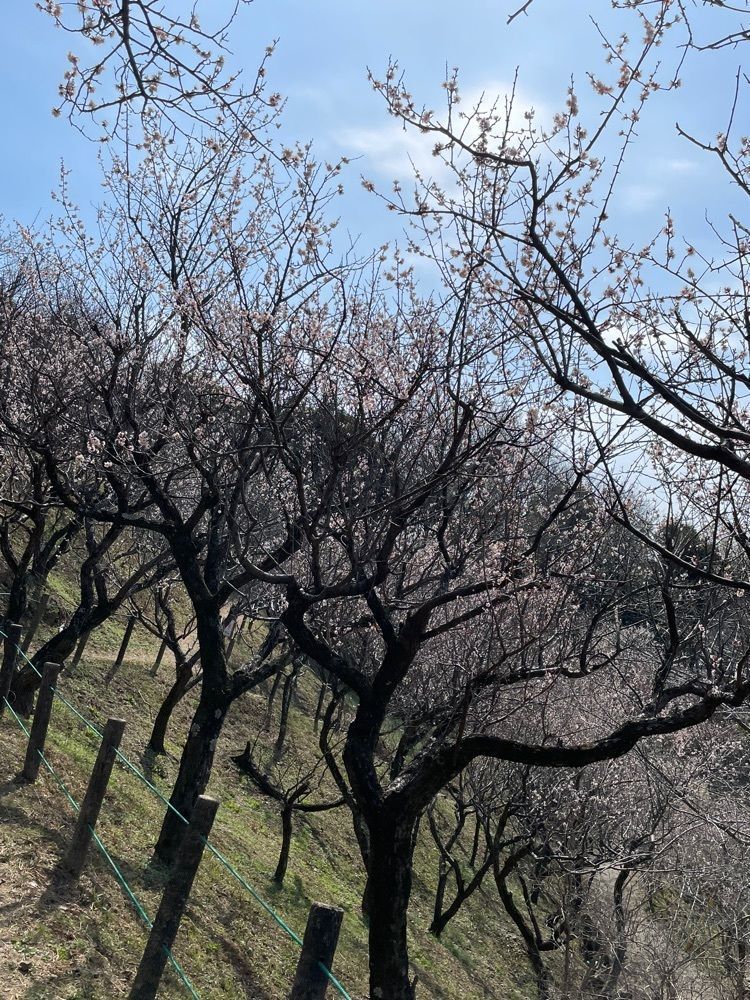 みーなさんが投稿した冠天満宮に関する口コミの画像