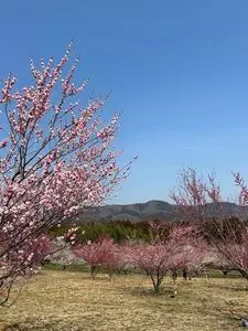 ながめや