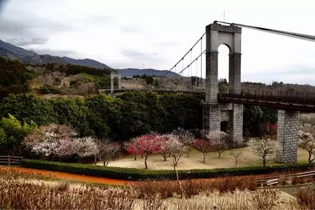 秦野ビジターセンター