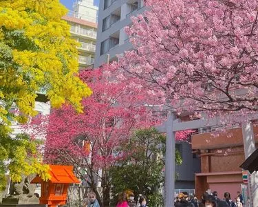 蔵前神社
