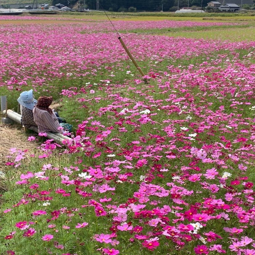 メリーさんが投稿した道の駅みまに関する口コミの画像