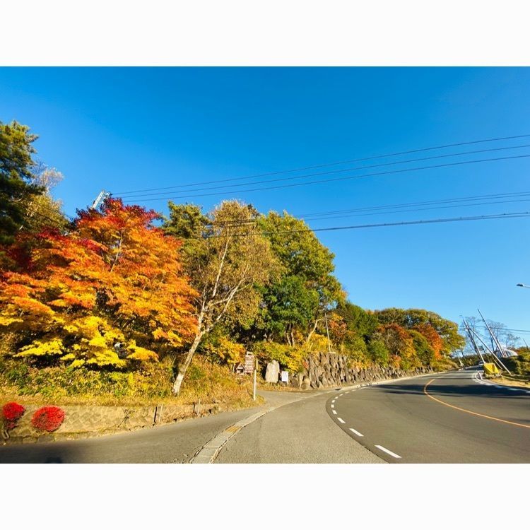 wonderful_street_830dさんが投稿した蓼科ブライトンホテルに関する口コミの画像