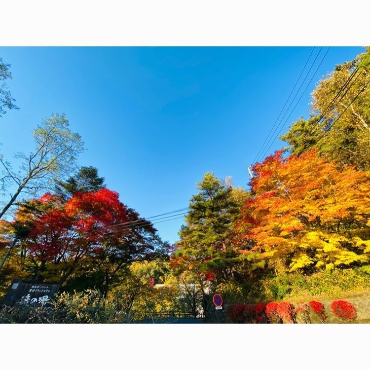 wonderful_street_830dさんが投稿した蓼科ブライトンホテルに関する口コミの画像