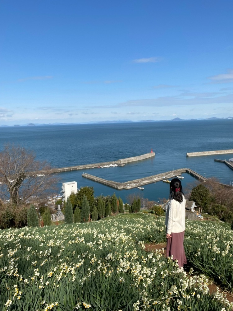 日本水仙花開道