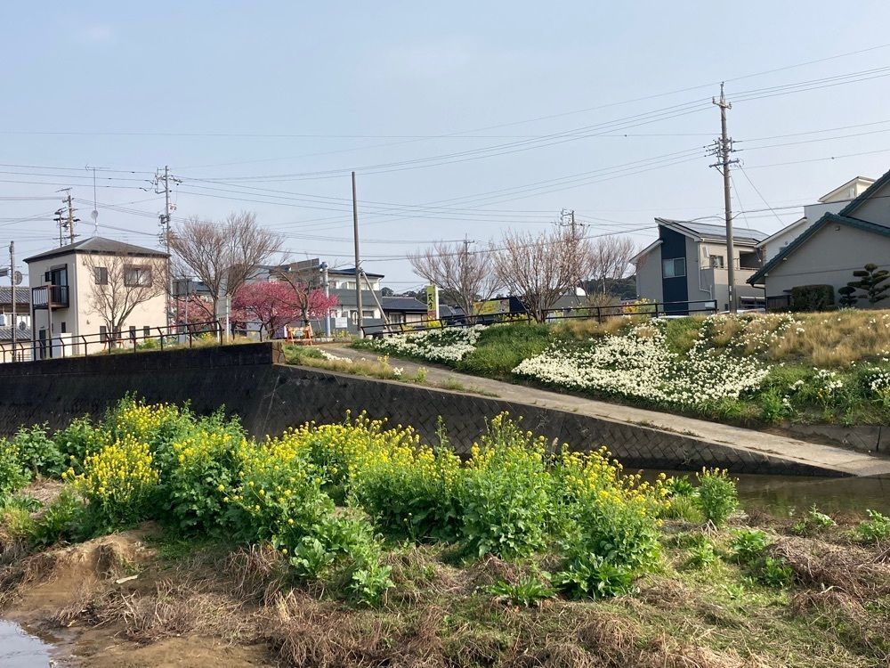 Howl Monさんが投稿した北山に関する口コミの画像