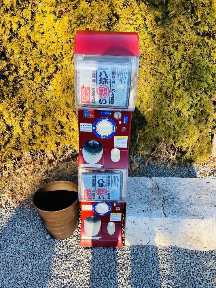 けんけんさんが投稿したやまなしフルーツ温泉ぷくぷくに関する口コミの画像