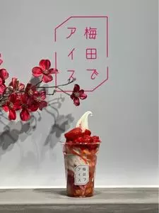 梅田でアイス