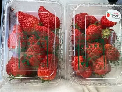 ぶらんこ苺園