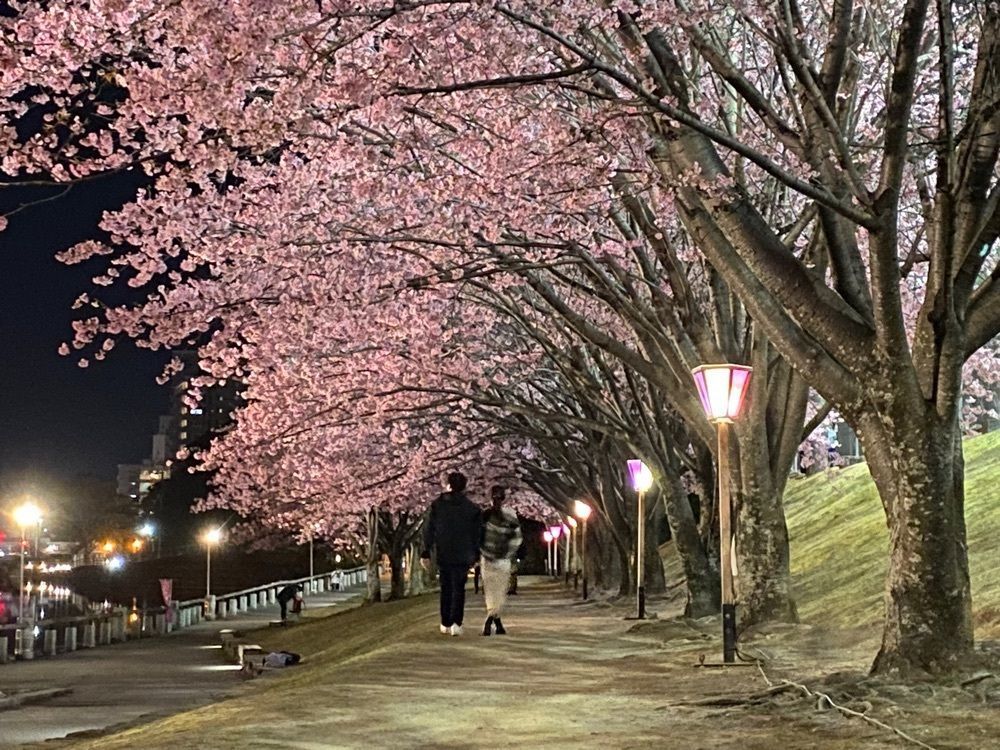 たまさんが投稿した徳島中央公園に関する口コミの画像