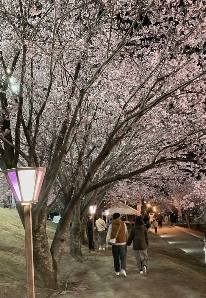 たまさんが投稿した徳島中央公園に関する口コミの画像