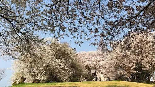 紫雲出山
