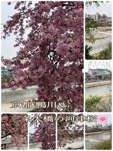 三条大橋