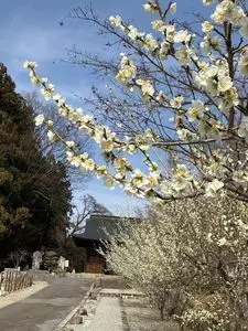 放光寺（山梨県甲州市）
