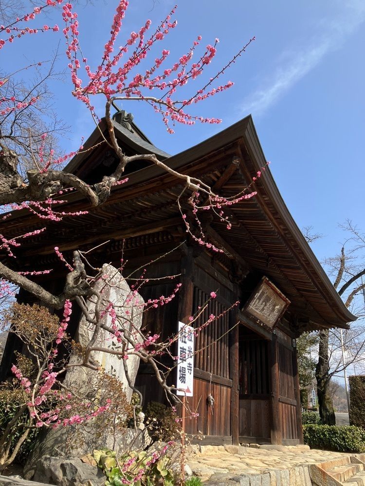 Nさんが投稿した放光寺（山梨県甲州市）に関する口コミの画像