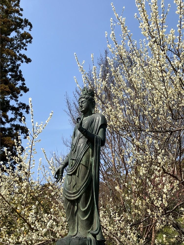 Nさんが投稿した放光寺（山梨県甲州市）に関する口コミの画像