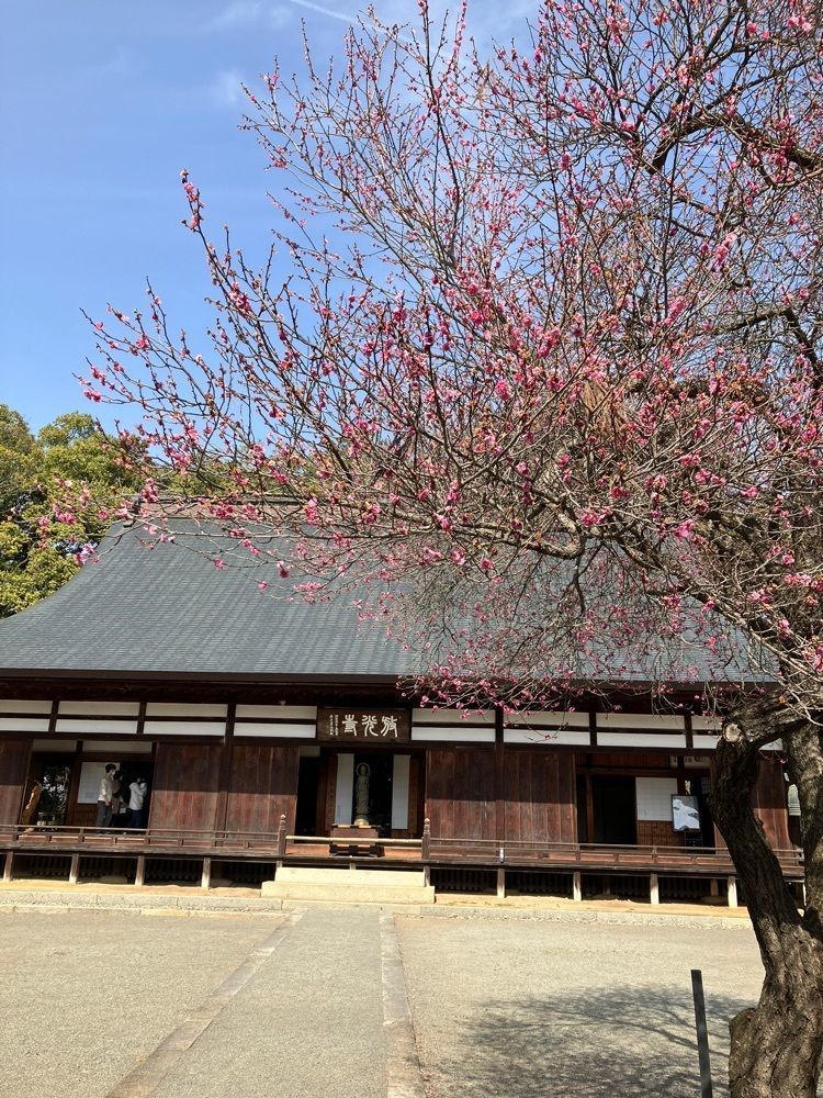 Nさんが投稿した放光寺（山梨県甲州市）に関する口コミの画像
