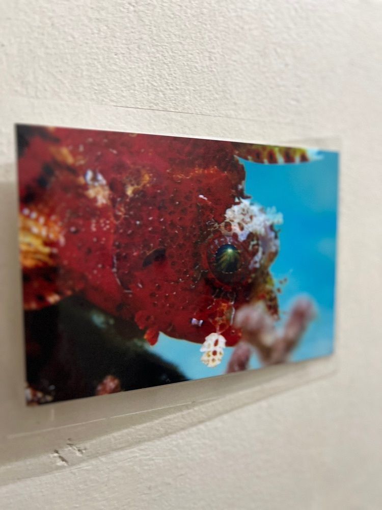 chou chou tabiさんが投稿したロケーションダイニング凪（ナギ）に関する口コミの画像