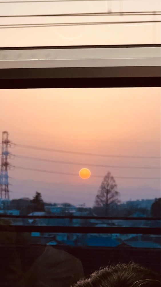 miiさんが投稿した鮨政 西口店（すしまさ）に関する口コミの画像