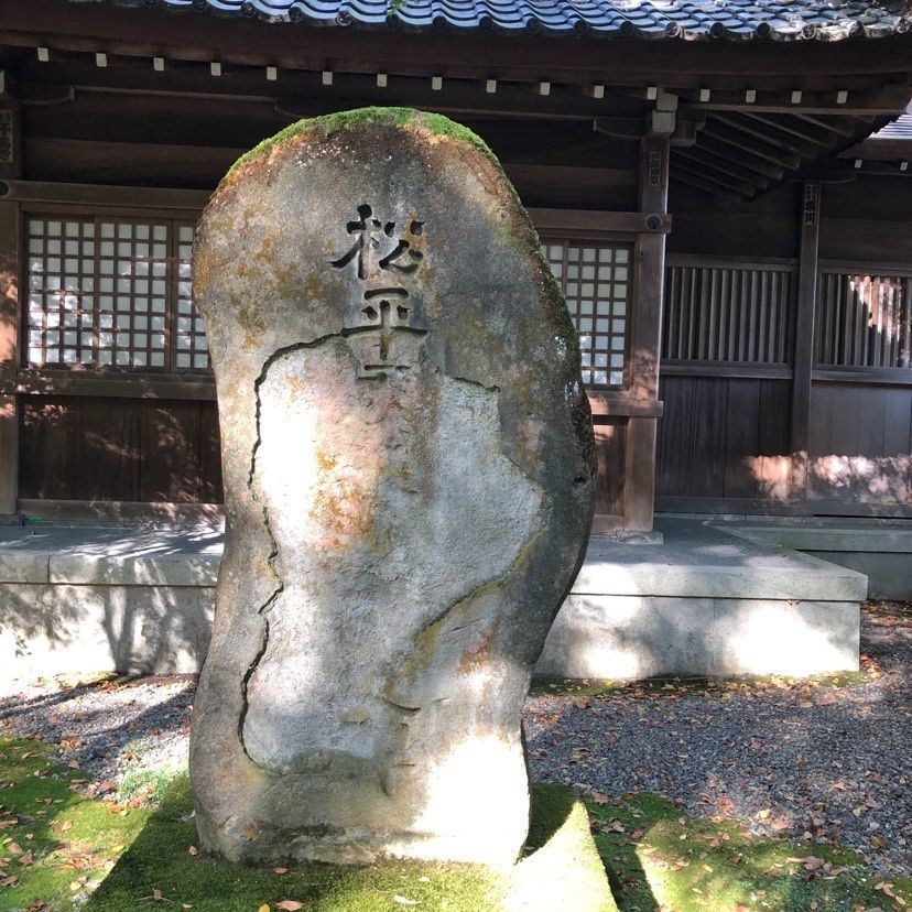 らぐ🏉🍺ビアさんが投稿した尾山神社庭園に関する口コミの画像