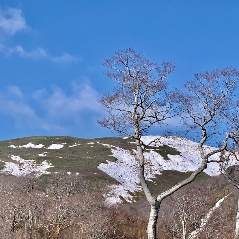 namake saruさんが投稿した月山湖水の文化館に関する口コミの画像