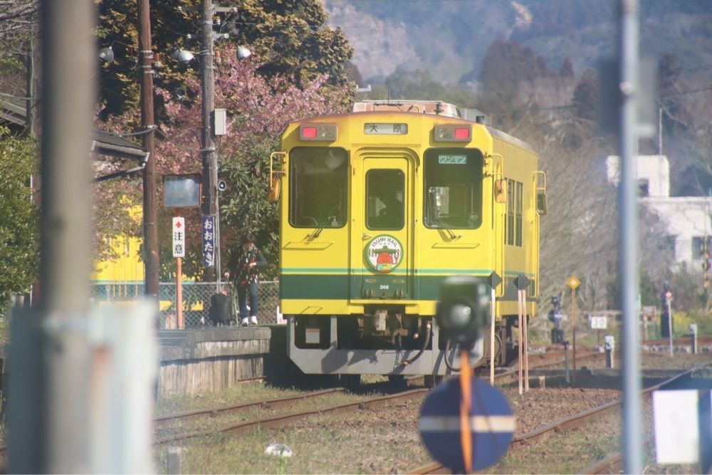 ばるおさんさんが投稿した大多喜町に関する口コミの画像