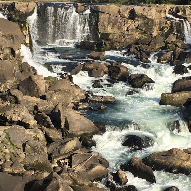 スナフキンさんが投稿した曽木の滝 花筵に関する口コミの画像
