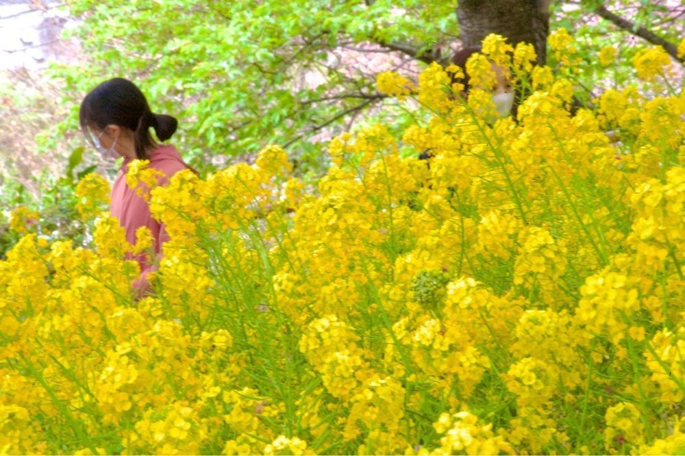 junkunさんが投稿した西平公園展望所に関する口コミの画像