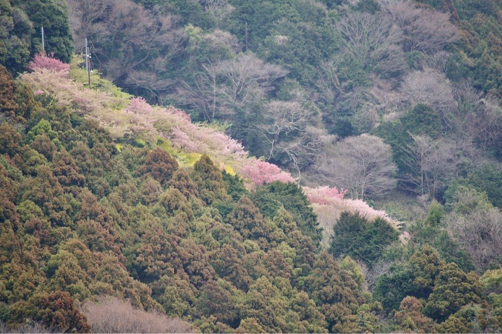 junkunさんが投稿した西平公園展望所に関する口コミの画像