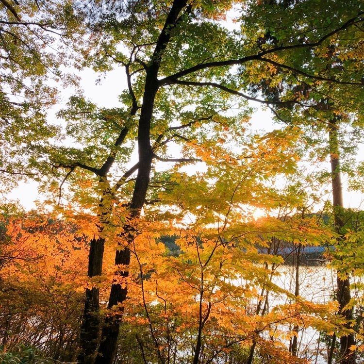 vast_park_c887さんが投稿した根の上高原に関する口コミの画像