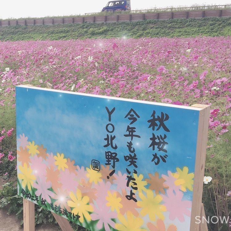 ✩.*˚hiromi✩°｡⋆さんが投稿したコスモスパーク北野に関する口コミの画像