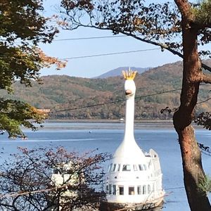 山中湖 遊覧船 2枚目