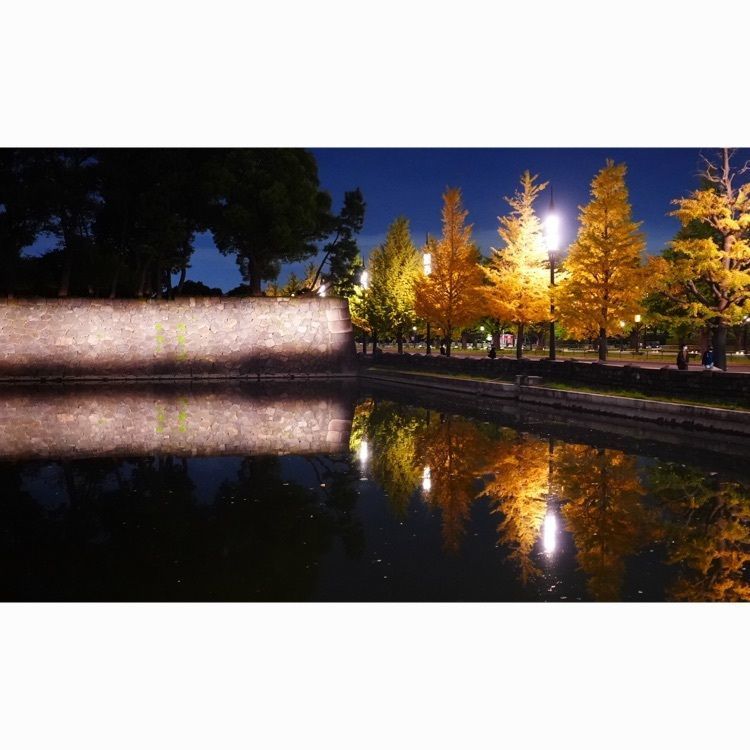 jamesさんが投稿した日比谷パレスに関する口コミの画像