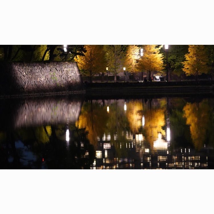 jamesさんが投稿した日比谷パレスに関する口コミの画像