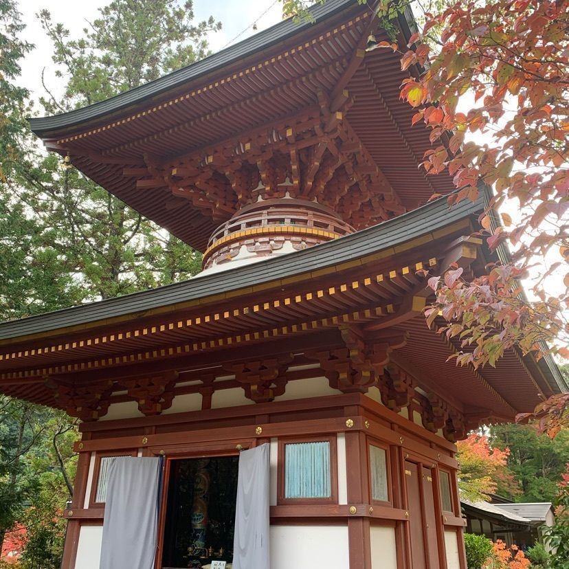 ステップさんが投稿した円成寺（奈良県奈良市）に関する口コミの画像