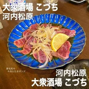 大衆酒場　こづち