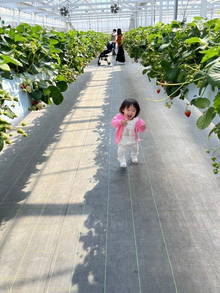 サイターマンさんが投稿したhiro farm（ヒロ ファーム）に関する口コミの画像