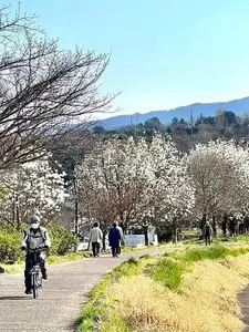 小田原百貨店 南足柄店