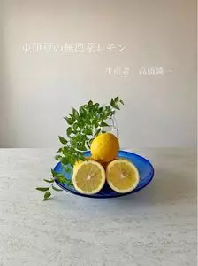 アキッチョデシカ 方南町（akicciodesica）
