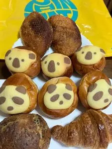 パンパティ ヤングライオン