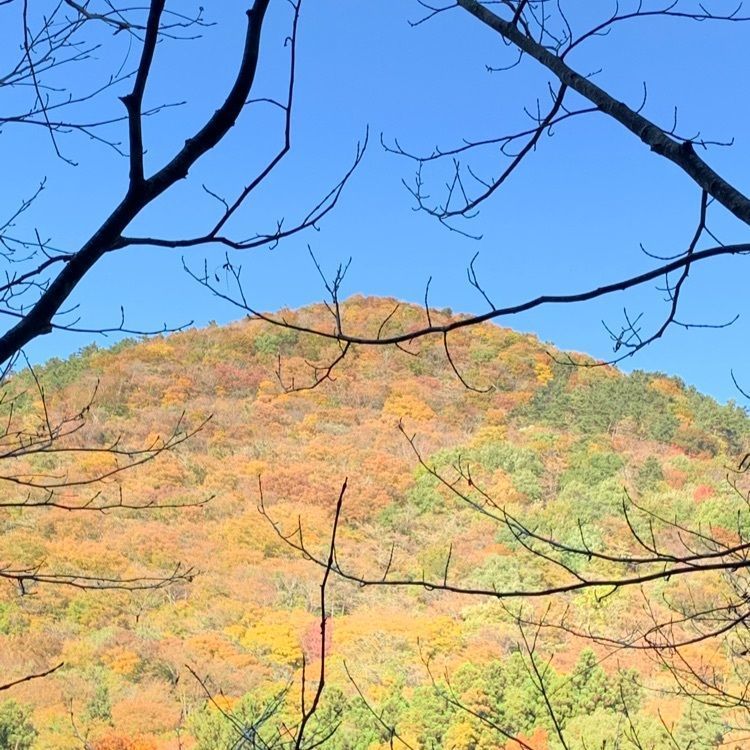 michikoの画像