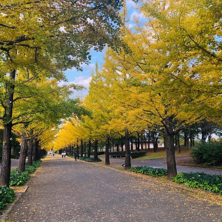 choco mintさんが投稿したあづま総合運動公園に関する口コミの画像