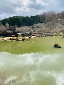 虹の郷