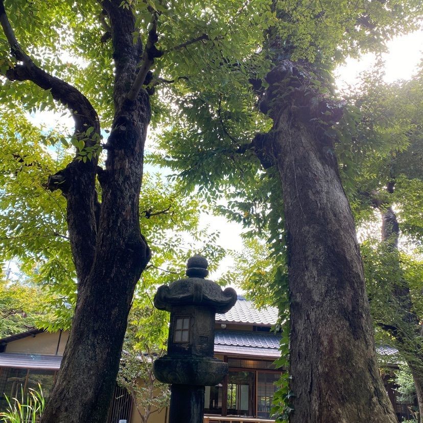 kikiさんが投稿した西尾八ツ橋の里に関する口コミの画像