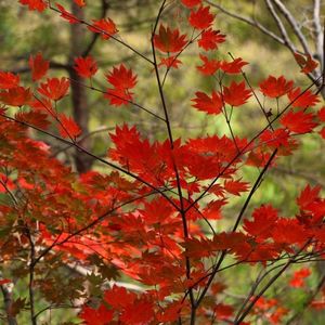 龍王峡自然研究路 8枚目