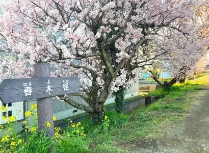 小田原百貨店 南足柄店
