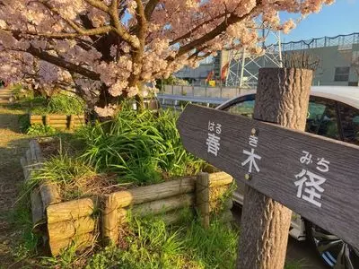 小田原百貨店 南足柄店