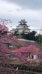 掛川城天守閣 1枚目