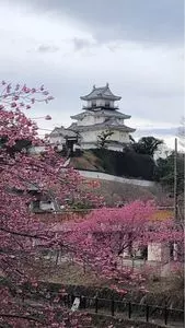 掛川城天守閣